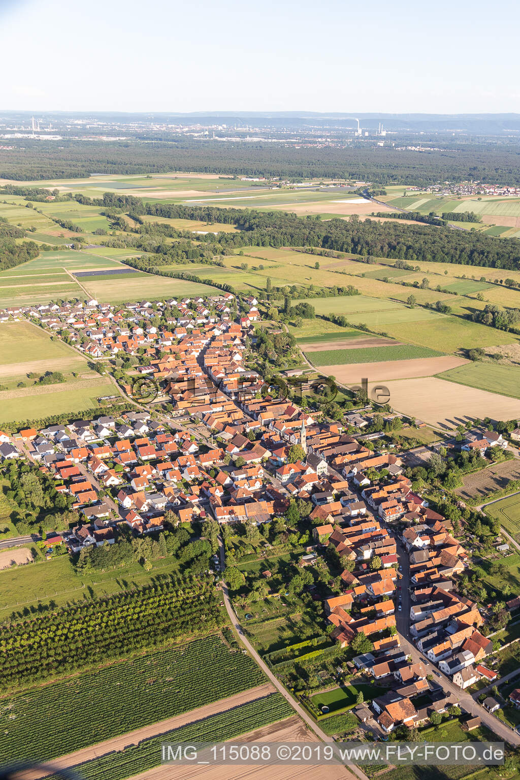 Vue oblique de Erlenbach bei Kandel dans le département Rhénanie-Palatinat, Allemagne