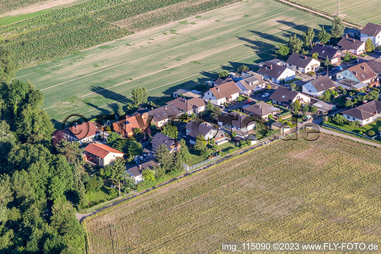 Vue aérienne de Route forestière à Erlenbach bei Kandel dans le département Rhénanie-Palatinat, Allemagne