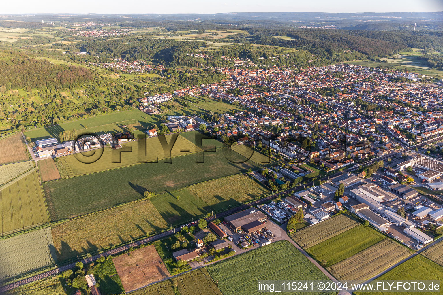 Vue d'oiseau de Weingarten dans le département Bade-Wurtemberg, Allemagne