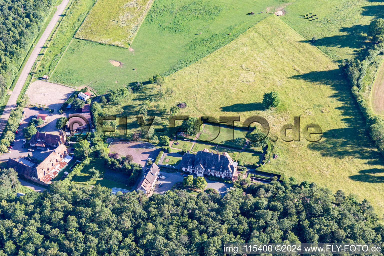 Vue aérienne de Villa Le Riesack à Niederbronn-les-Bains dans le département Bas Rhin, France