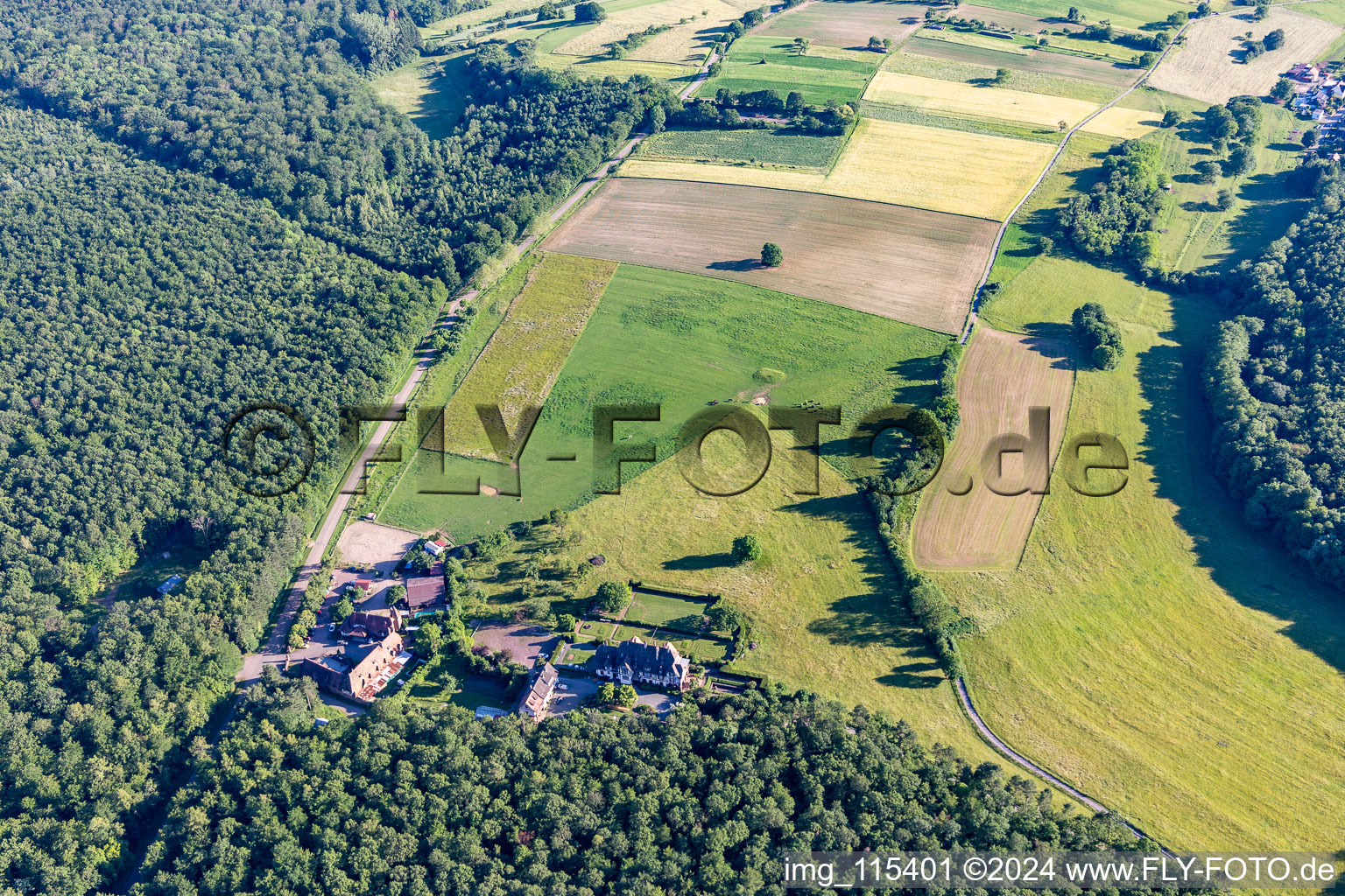 Vue aérienne de Villa Le Riesack à Niederbronn-les-Bains dans le département Bas Rhin, France