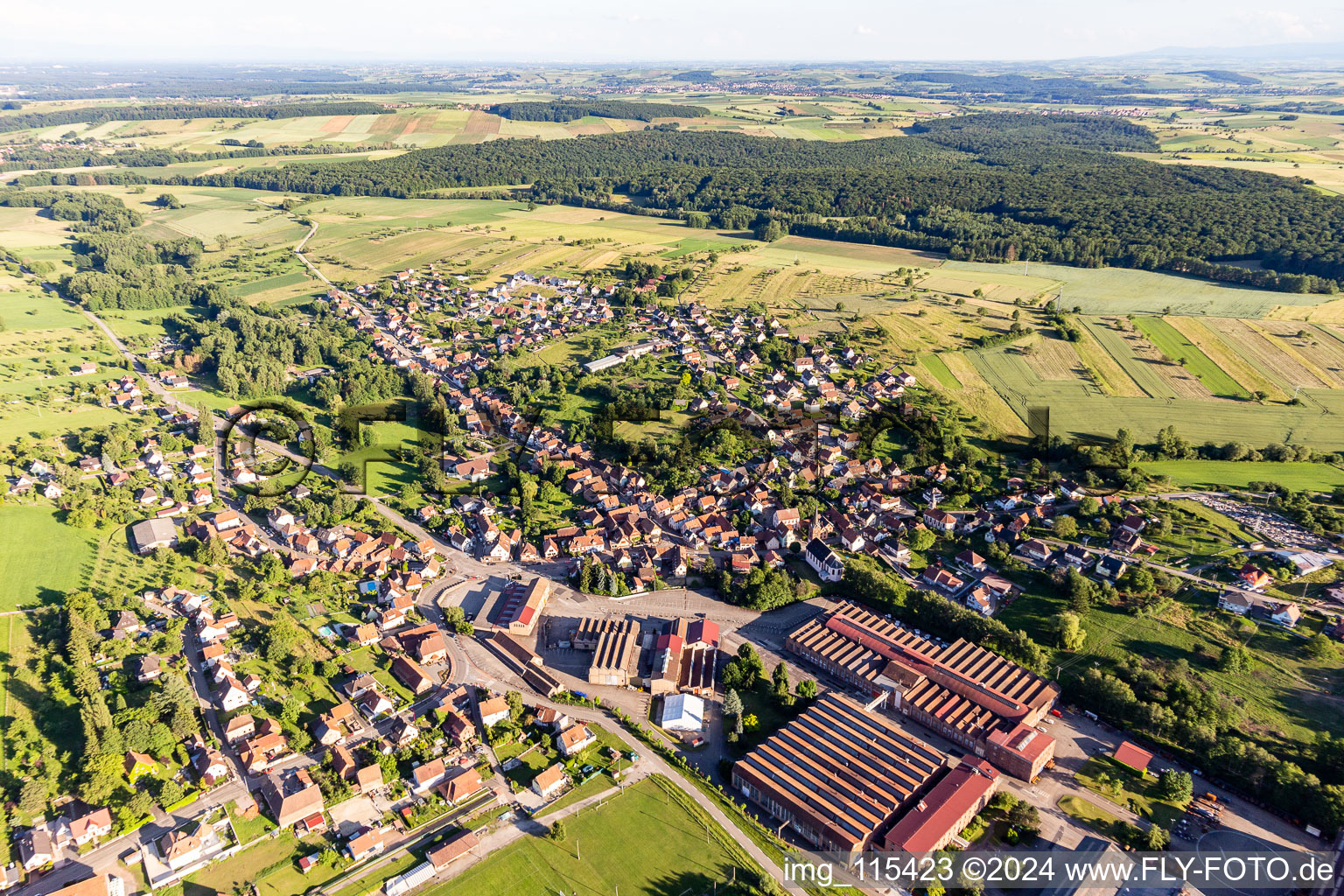 Zinswiller dans le département Bas Rhin, France vu d'un drone