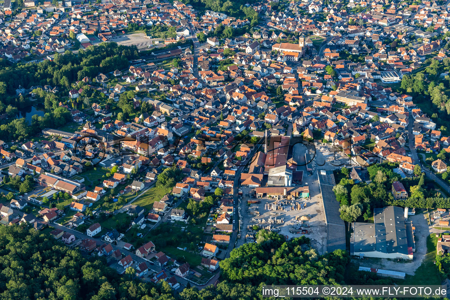 Vue aérienne de Quartier Ceinture Forêt Nord in Hagenau dans le département Bas Rhin, France