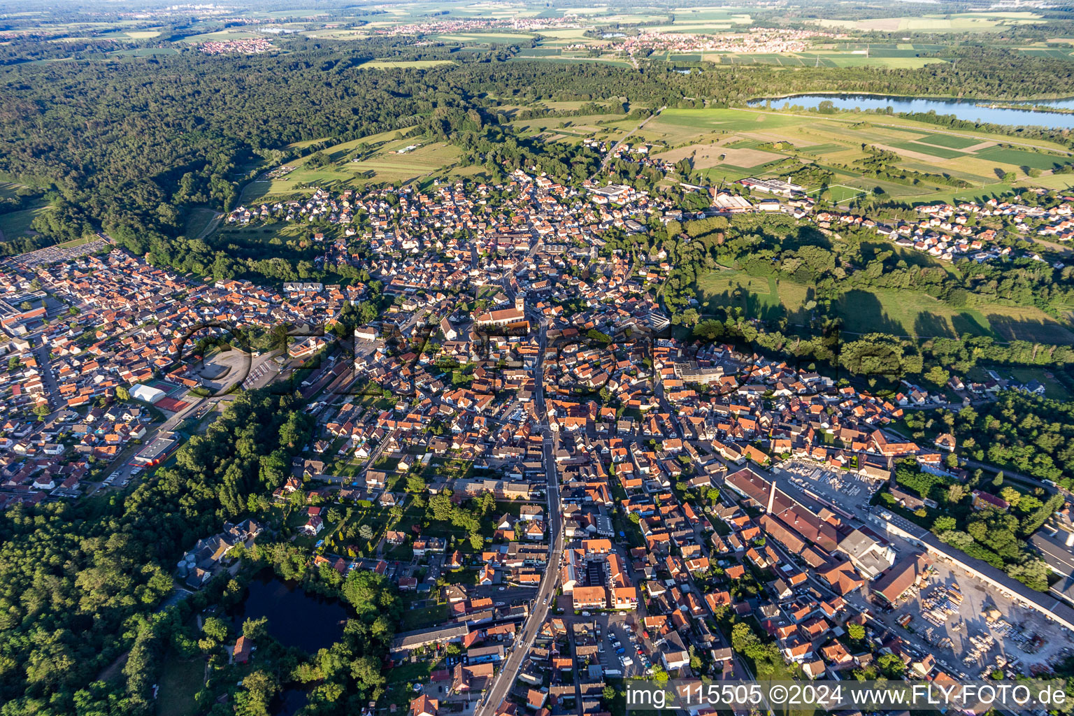 Vue aérienne de Quartier Ceinture Forêt Nord in Hagenau dans le département Bas Rhin, France