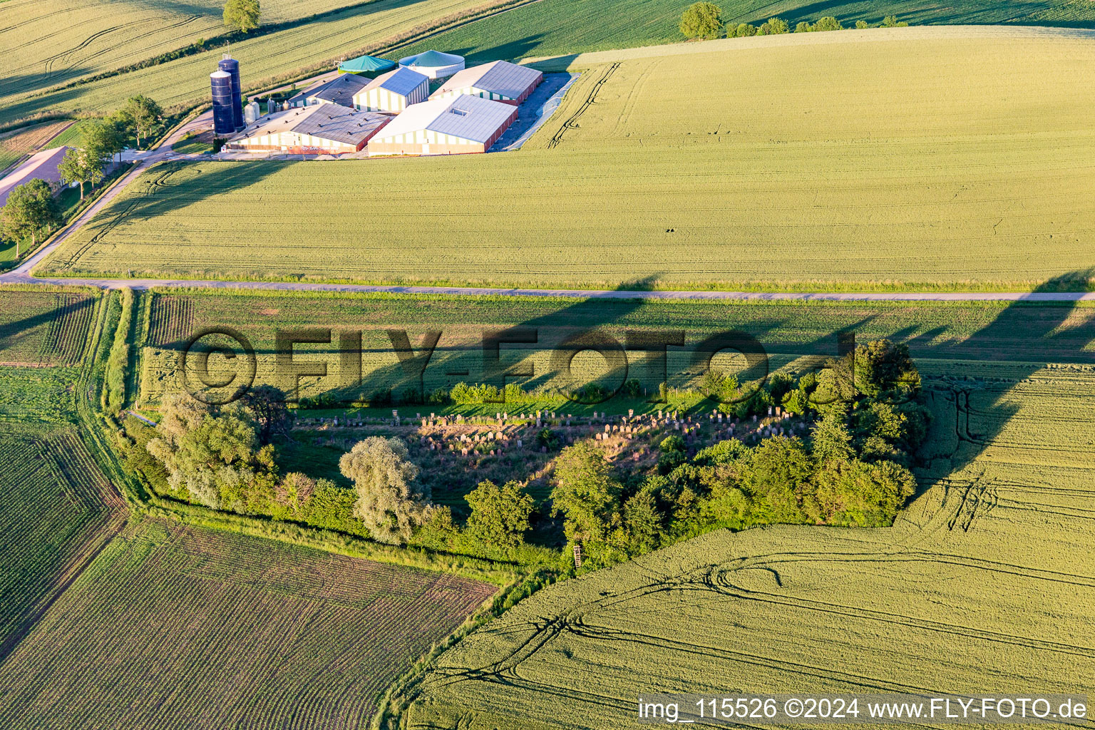 Vue aérienne de Cimetière juif à Trimbach dans le département Bas Rhin, France