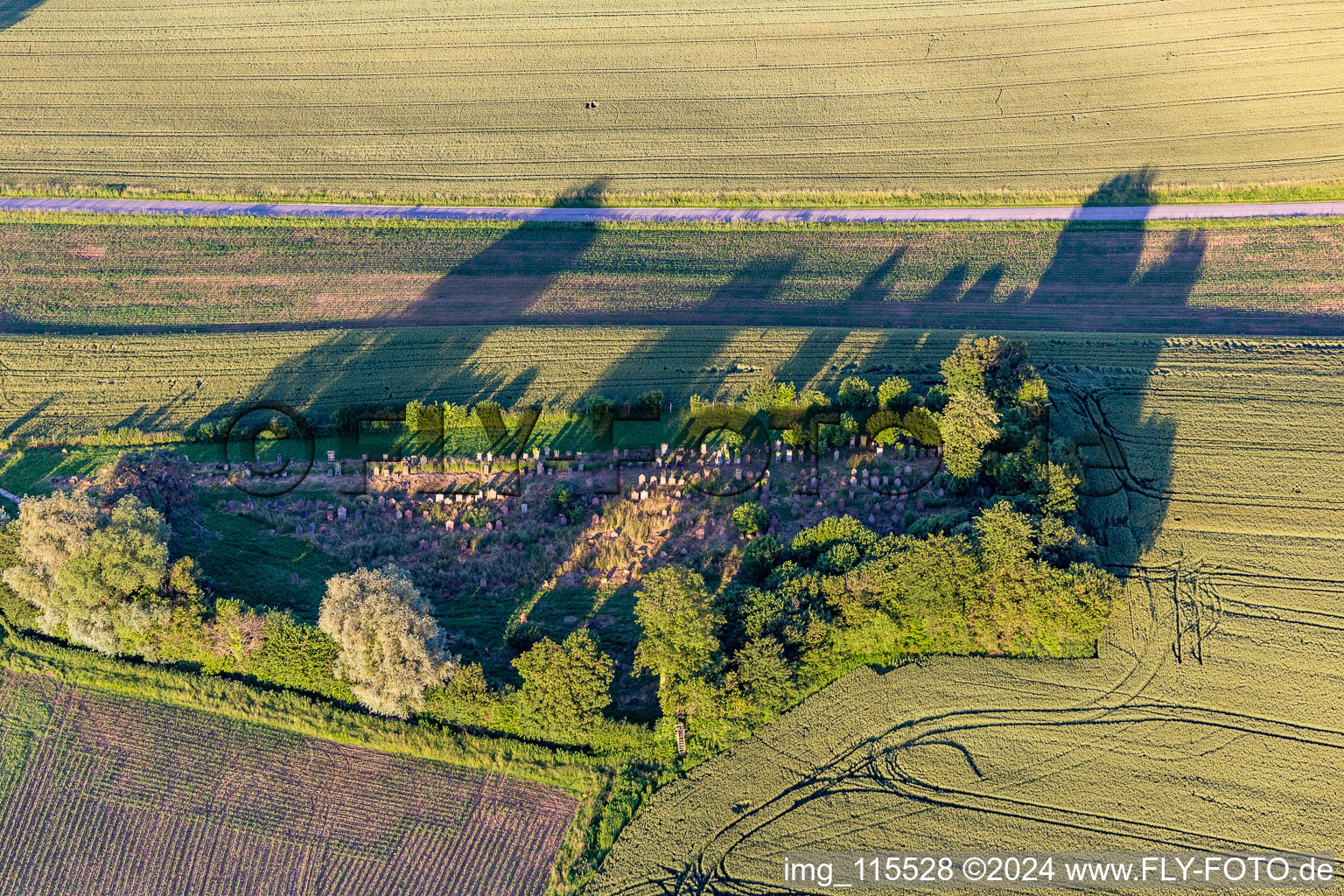 Vue aérienne de Cimetière juif à Trimbach dans le département Bas Rhin, France