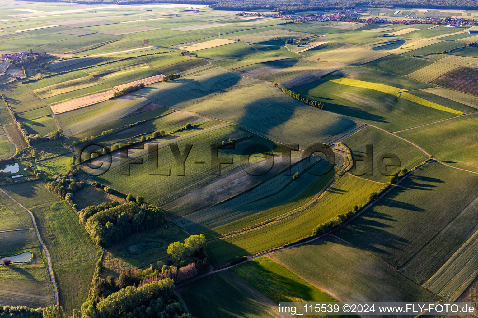 Photographie aérienne de Seebach dans le département Bas Rhin, France