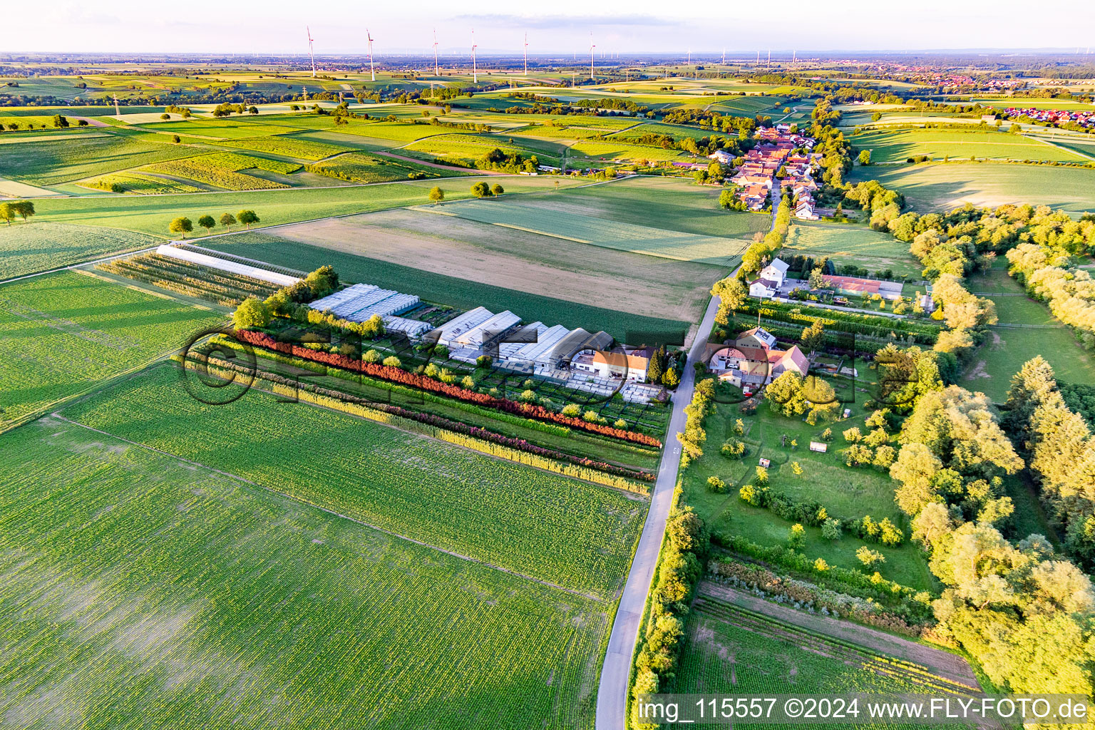 Vue aérienne de Dieter Schmeißer coupe vert à Vollmersweiler dans le département Rhénanie-Palatinat, Allemagne