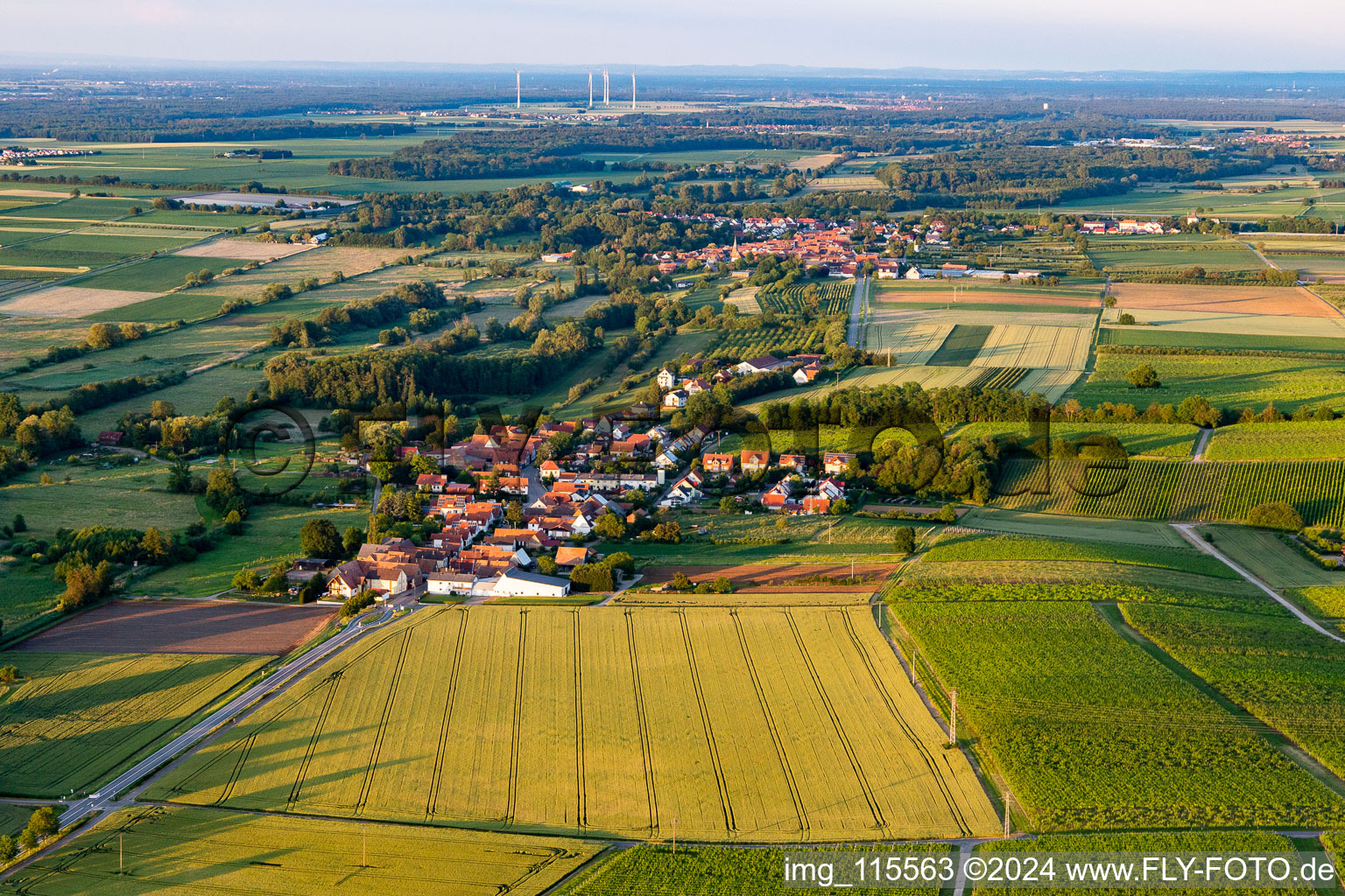 Photographie aérienne de Hergersweiler dans le département Rhénanie-Palatinat, Allemagne