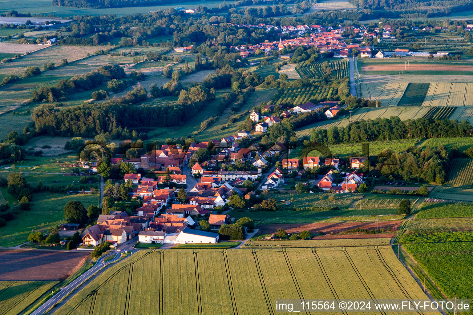 Vue oblique de Hergersweiler dans le département Rhénanie-Palatinat, Allemagne