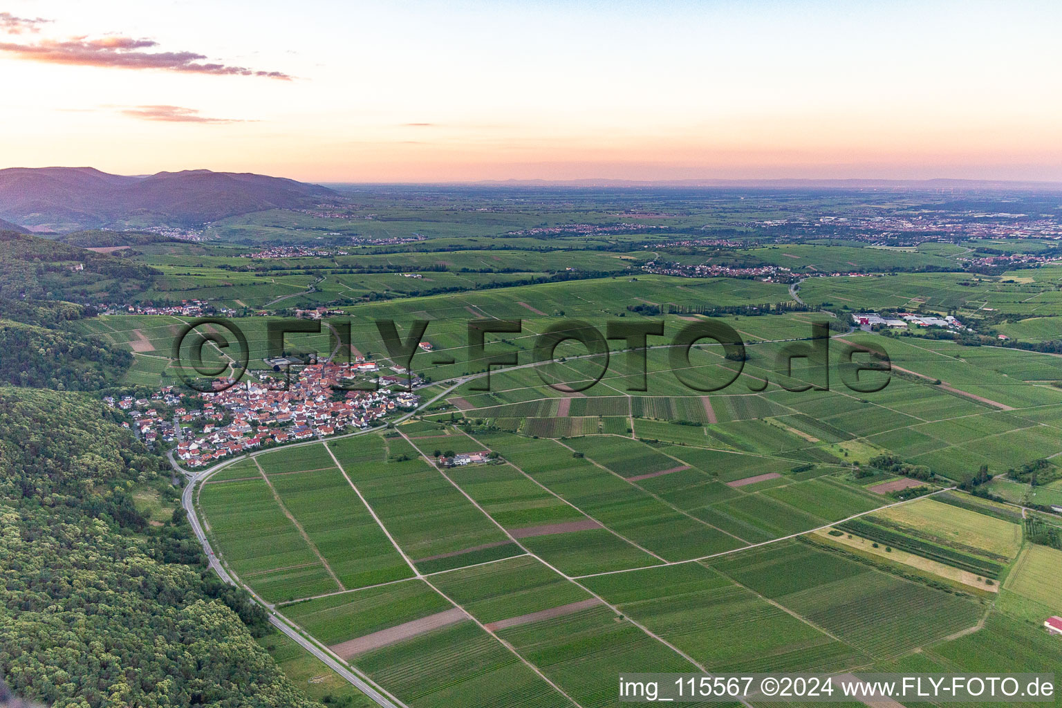 Vue d'oiseau de Eschbach dans le département Rhénanie-Palatinat, Allemagne