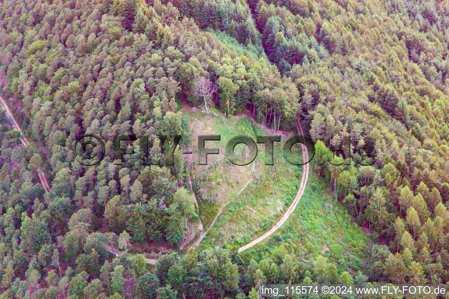 Vue aérienne de Site de décollage des parapentes de Förlenberg à Leinsweiler dans le département Rhénanie-Palatinat, Allemagne