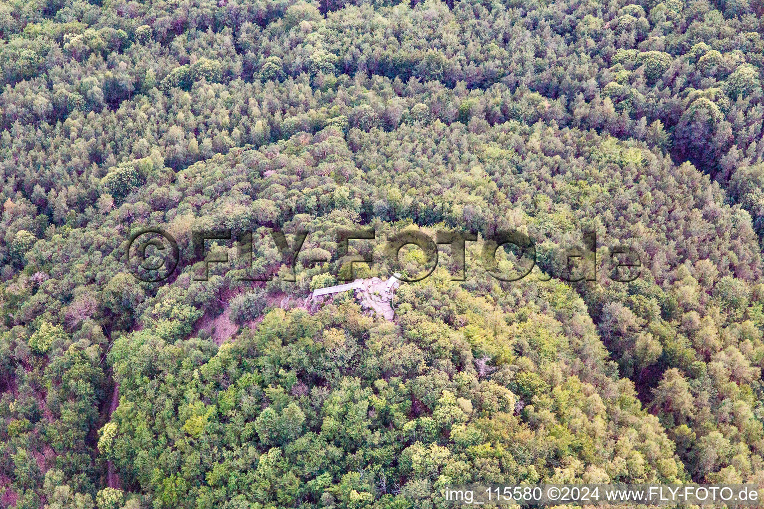 Vue oblique de Tour Hohenberg à Birkweiler dans le département Rhénanie-Palatinat, Allemagne