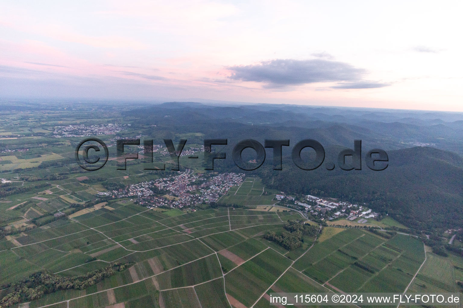 Vue d'oiseau de Klingenmünster dans le département Rhénanie-Palatinat, Allemagne