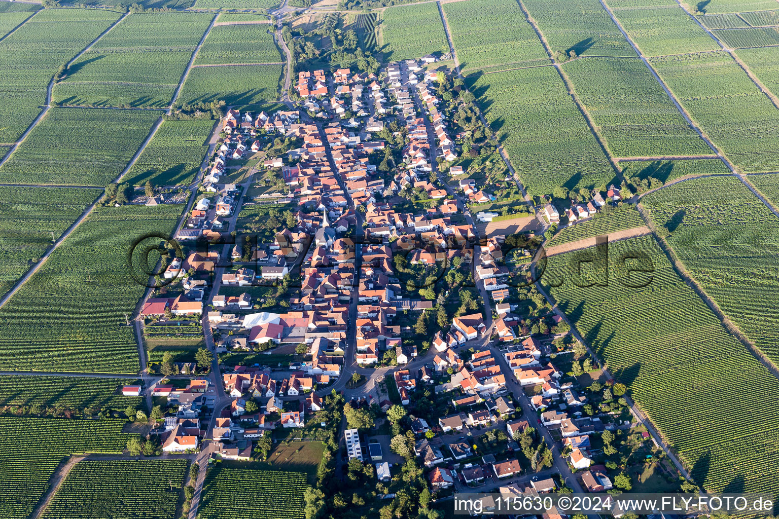 Vue oblique de Flemlingen dans le département Rhénanie-Palatinat, Allemagne