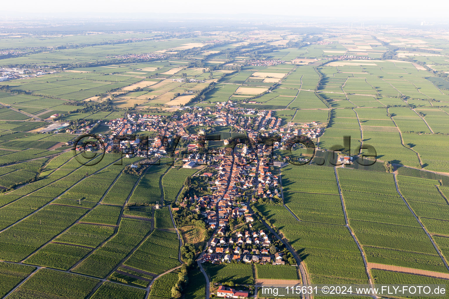 Vue d'oiseau de Hainfeld dans le département Rhénanie-Palatinat, Allemagne