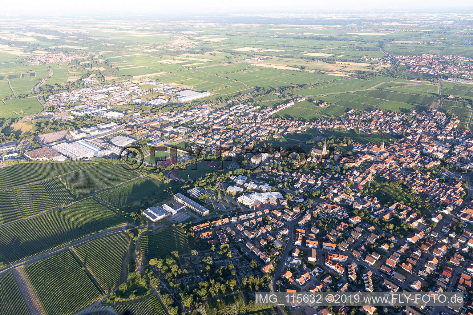 Edenkoben dans le département Rhénanie-Palatinat, Allemagne vue du ciel