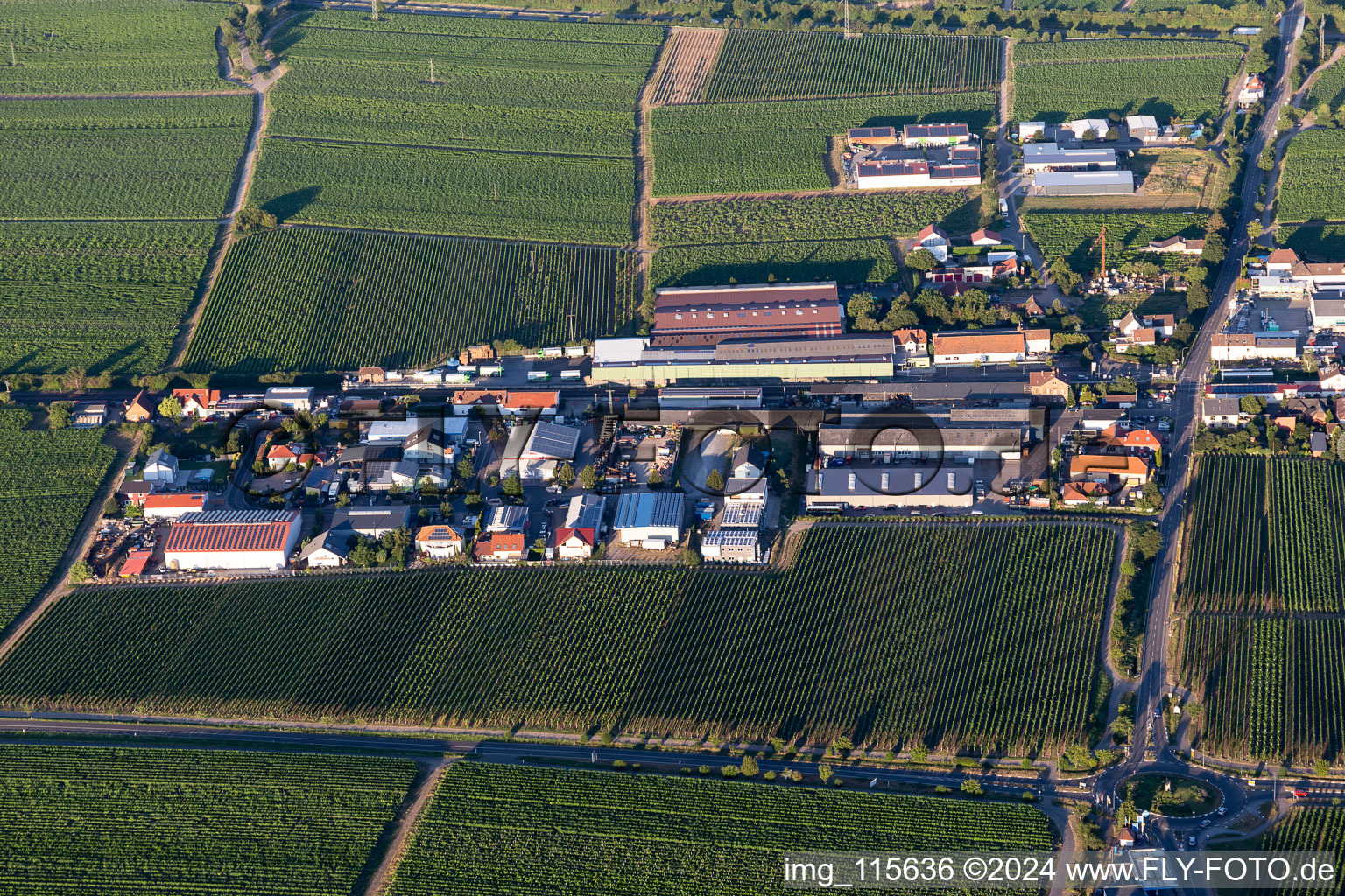 Vue d'oiseau de Kirrweiler dans le département Rhénanie-Palatinat, Allemagne