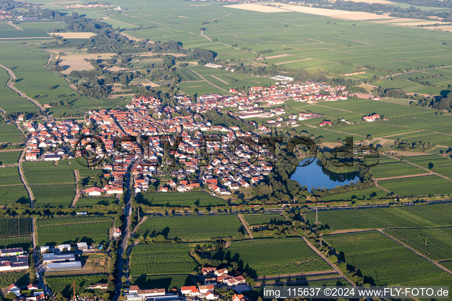 (Palatinat) à Kirrweiler dans le département Rhénanie-Palatinat, Allemagne d'en haut