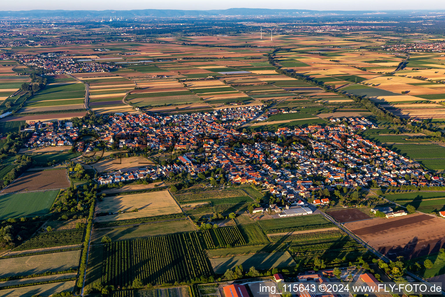 Vue aérienne de Quartier Niederkirchen in Niederkirchen bei Deidesheim dans le département Rhénanie-Palatinat, Allemagne