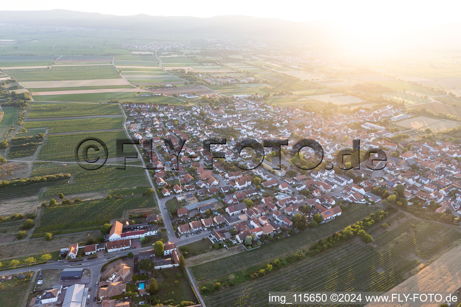 Vue d'oiseau de Meckenheim dans le département Rhénanie-Palatinat, Allemagne