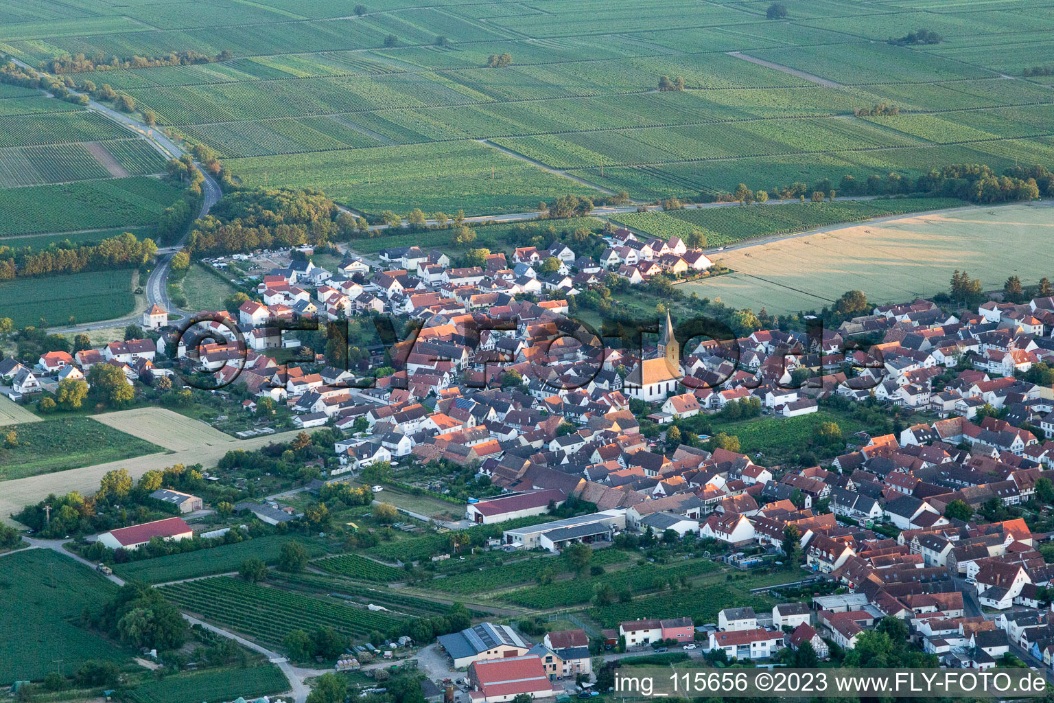 Quartier Lachen in Neustadt an der Weinstraße dans le département Rhénanie-Palatinat, Allemagne depuis l'avion