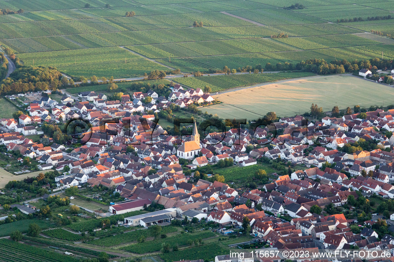 Vue d'oiseau de Quartier Lachen in Neustadt an der Weinstraße dans le département Rhénanie-Palatinat, Allemagne