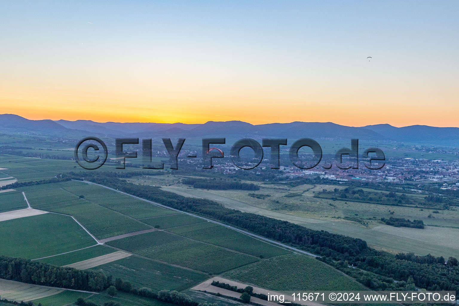 Landau in der Pfalz dans le département Rhénanie-Palatinat, Allemagne vue d'en haut