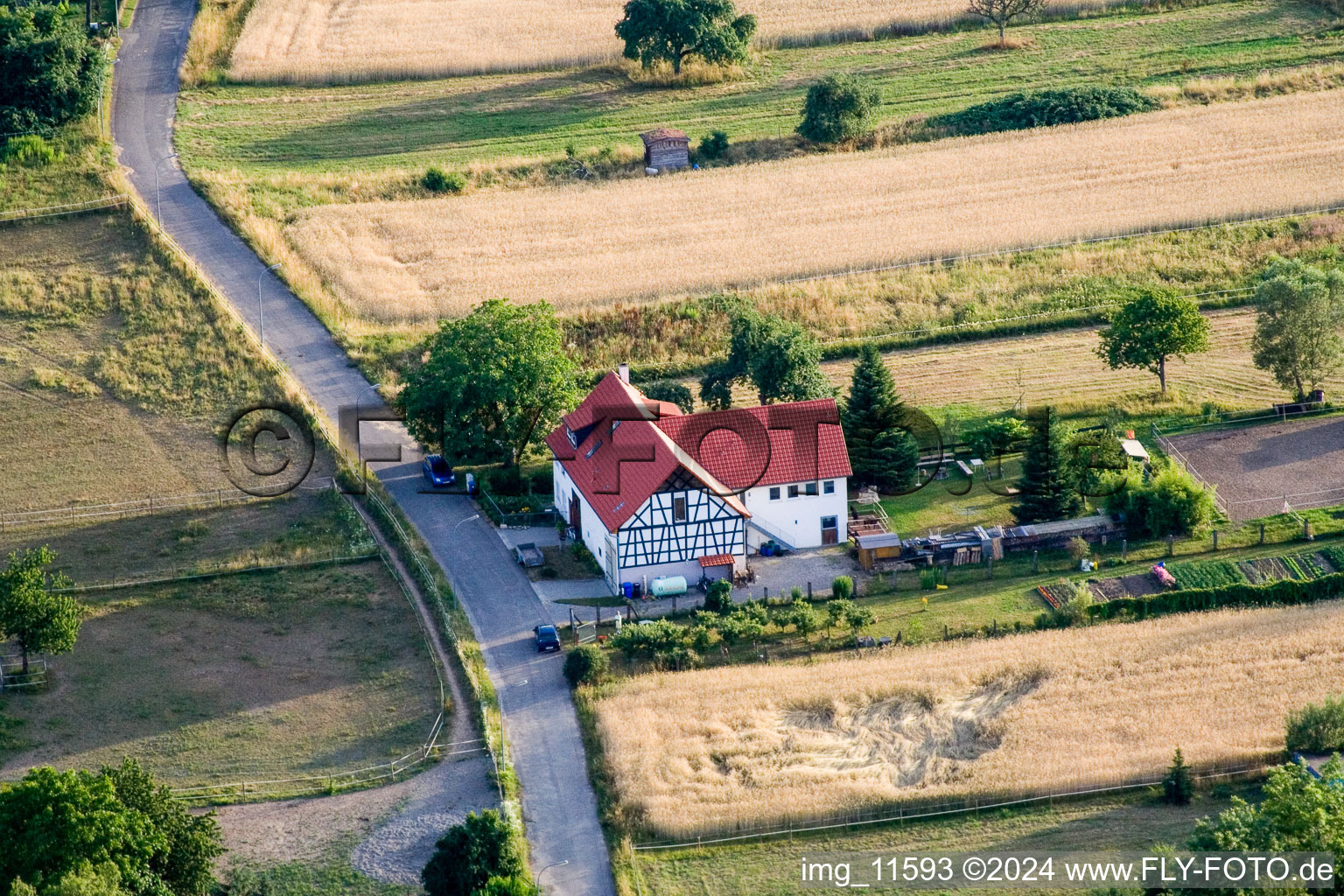 Vue aérienne de Rue Litzelstetter à le quartier Wollmatingen in Konstanz dans le département Bade-Wurtemberg, Allemagne