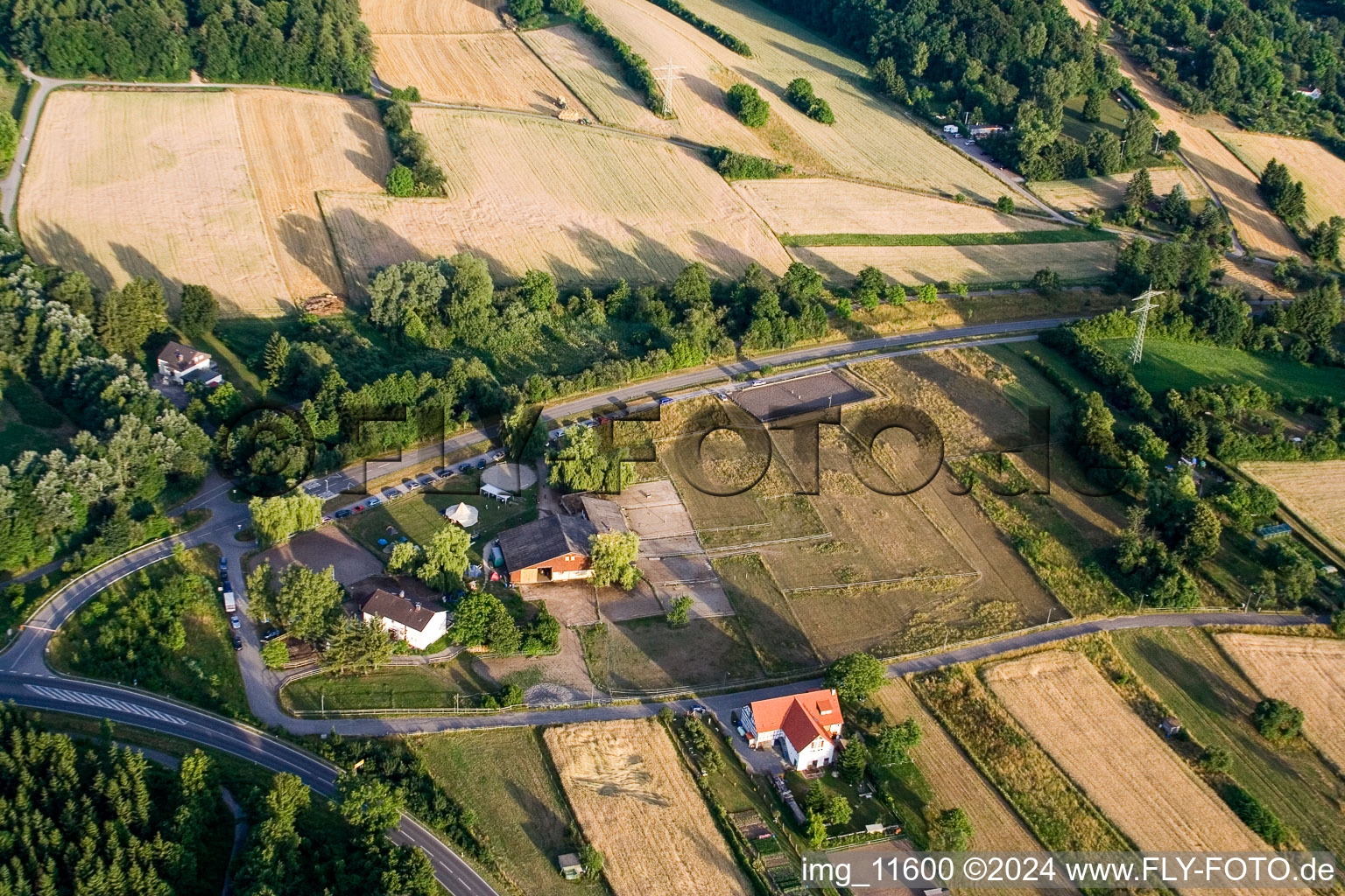 Randonnée thérapeutique Reithof Trab eV sur le lac de Constance à le quartier Wollmatingen in Konstanz dans le département Bade-Wurtemberg, Allemagne d'en haut