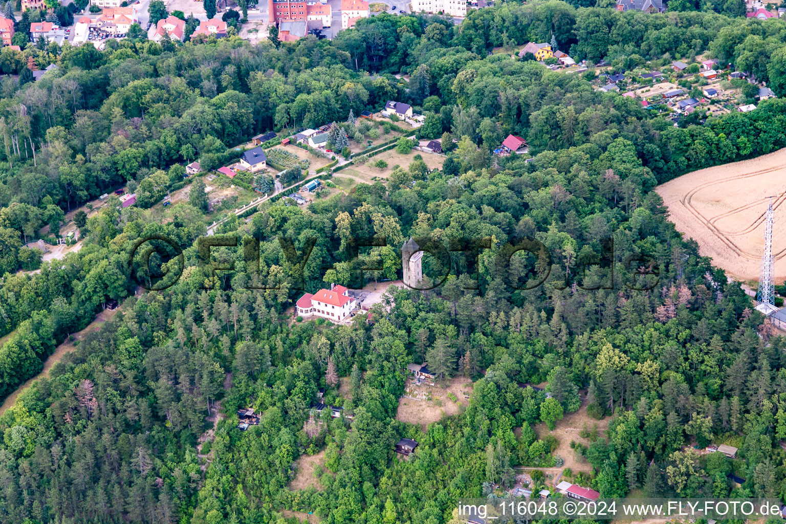 Vue aérienne de Tour d'Altebourg à Arnstadt dans le département Thuringe, Allemagne