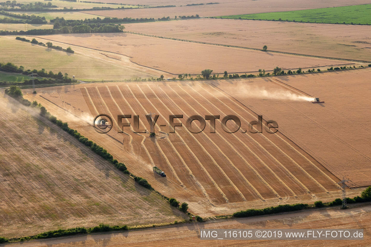 Vue aérienne de Récolte de colza à Wechmar dans le département Thuringe, Allemagne