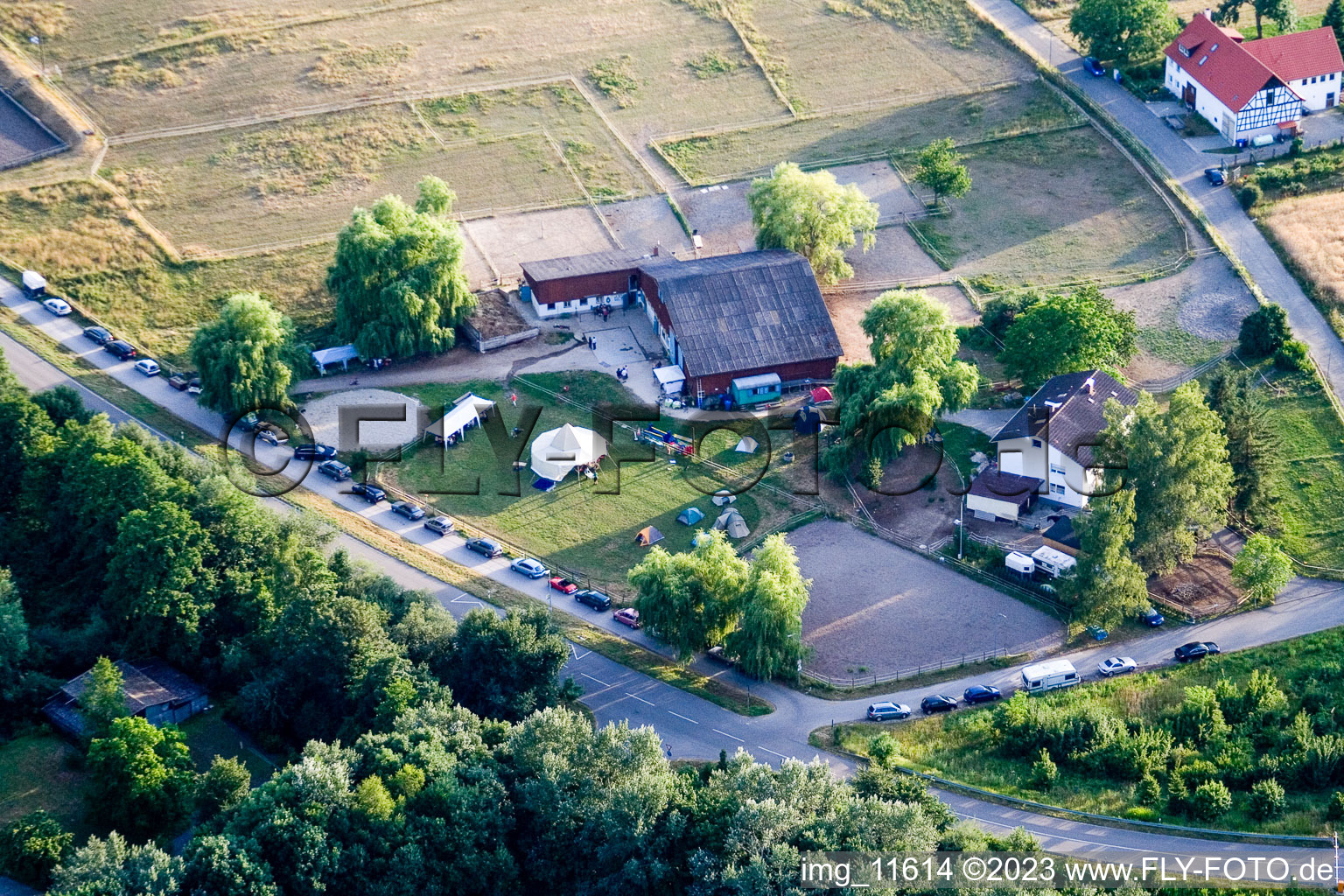 Enregistrement par drone de Randonnée thérapeutique Reithof Trab eV sur le lac de Constance à le quartier Wollmatingen in Konstanz dans le département Bade-Wurtemberg, Allemagne