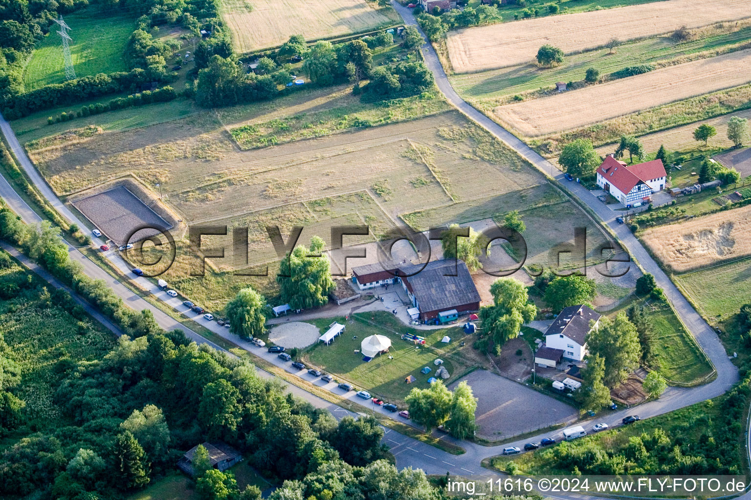 Randonnée thérapeutique Reithof Trab eV sur le lac de Constance à le quartier Wollmatingen in Konstanz dans le département Bade-Wurtemberg, Allemagne du point de vue du drone