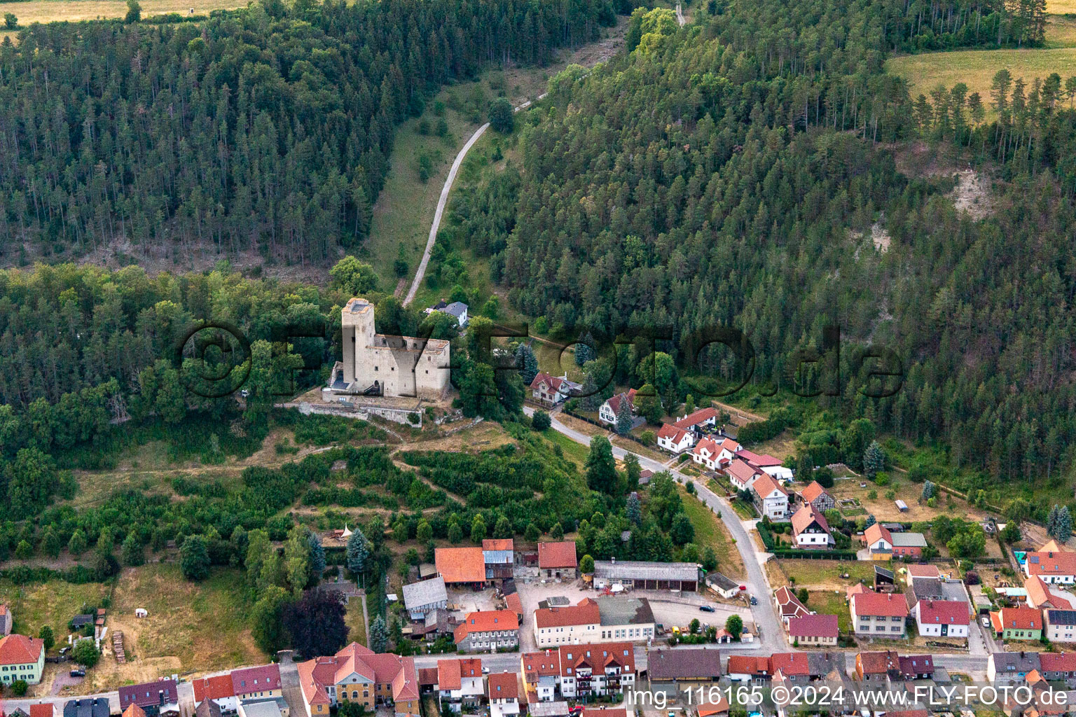 Vue aérienne de Ruines du château Liebenstein à Liebenstein dans le département Thuringe, Allemagne