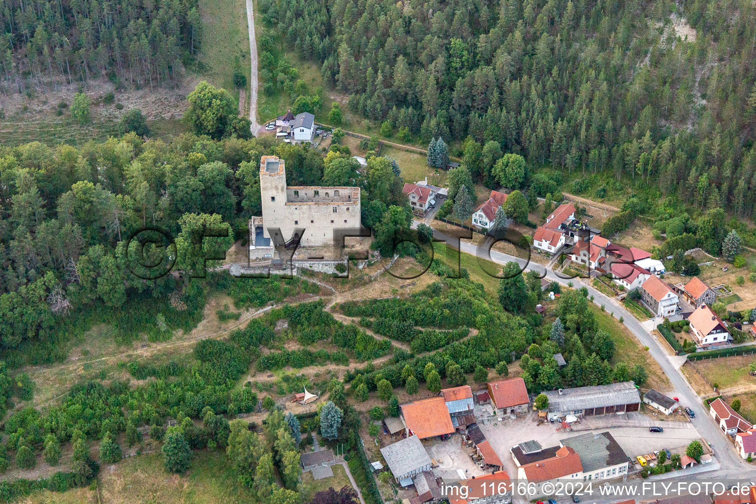Vue aérienne de Ruines du château de Liebenstein à Liebenstein à Geratal dans le département Thuringe, Allemagne