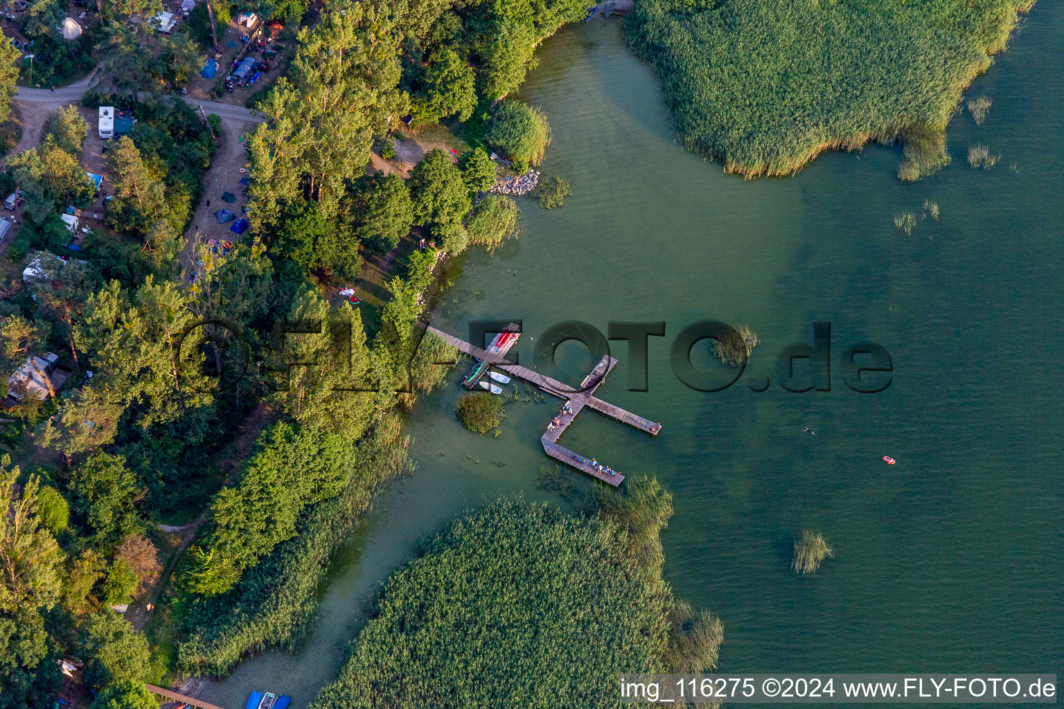 Vue aérienne de Amarrages pour péniches et amarrages sur les berges du camping à Oberuckersee dans le quartier de Warnitz à Oberuckersee dans le département Brandebourg, Allemagne