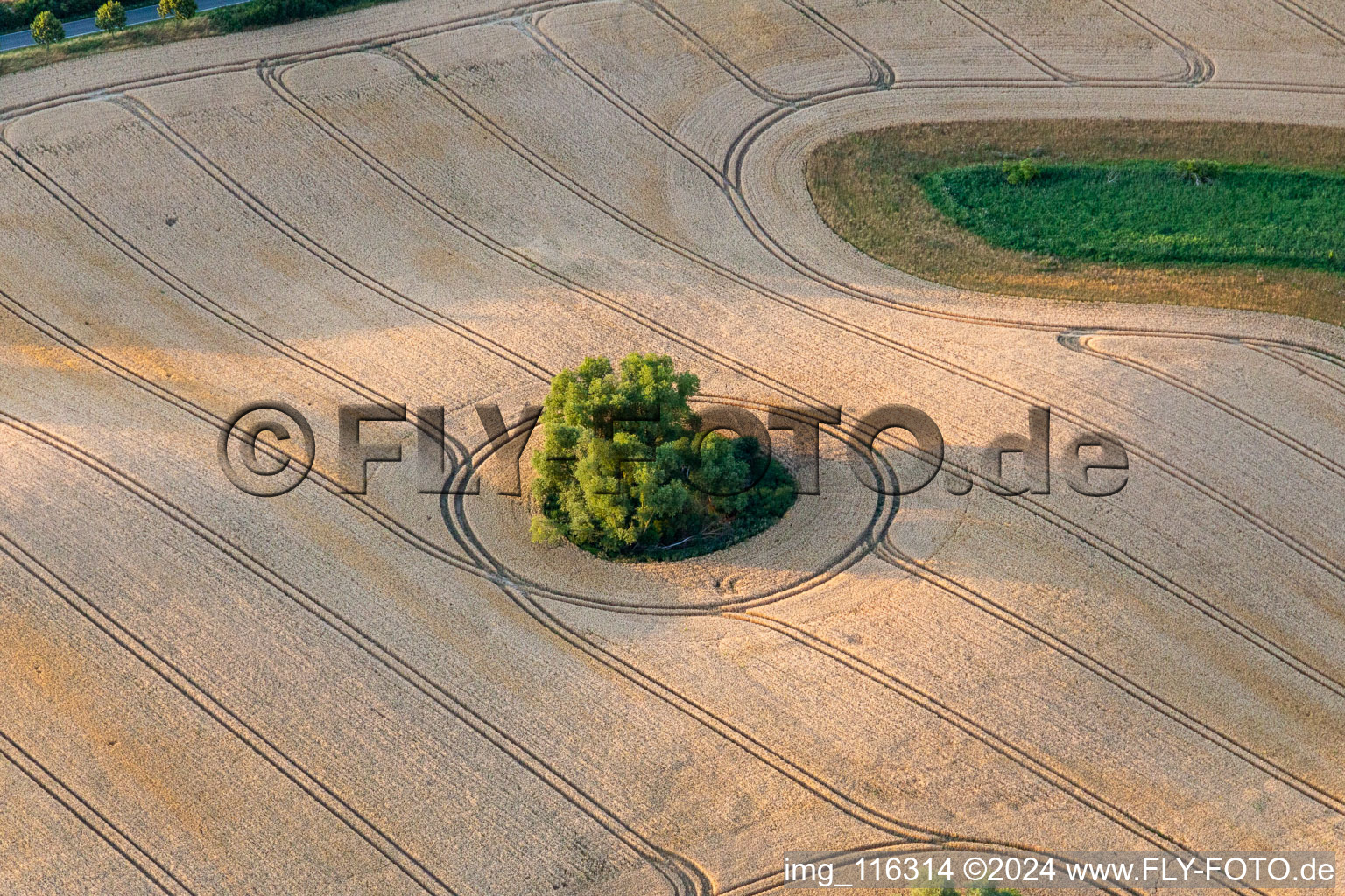 Vue aérienne de Structure du champ de céréales rondes : Toteissee dans le champ de l'Uckermark à Gerswalde dans le département Brandebourg, Allemagne