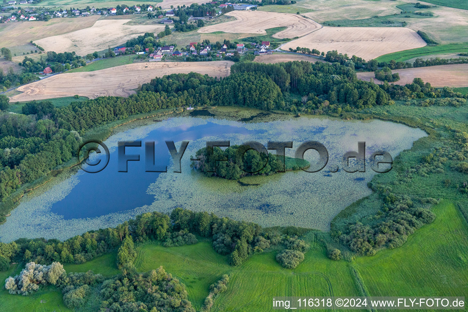 Vue aérienne de Zones riveraines de l'île lacustre du Haussee à Gerswalde dans le département Brandebourg, Allemagne