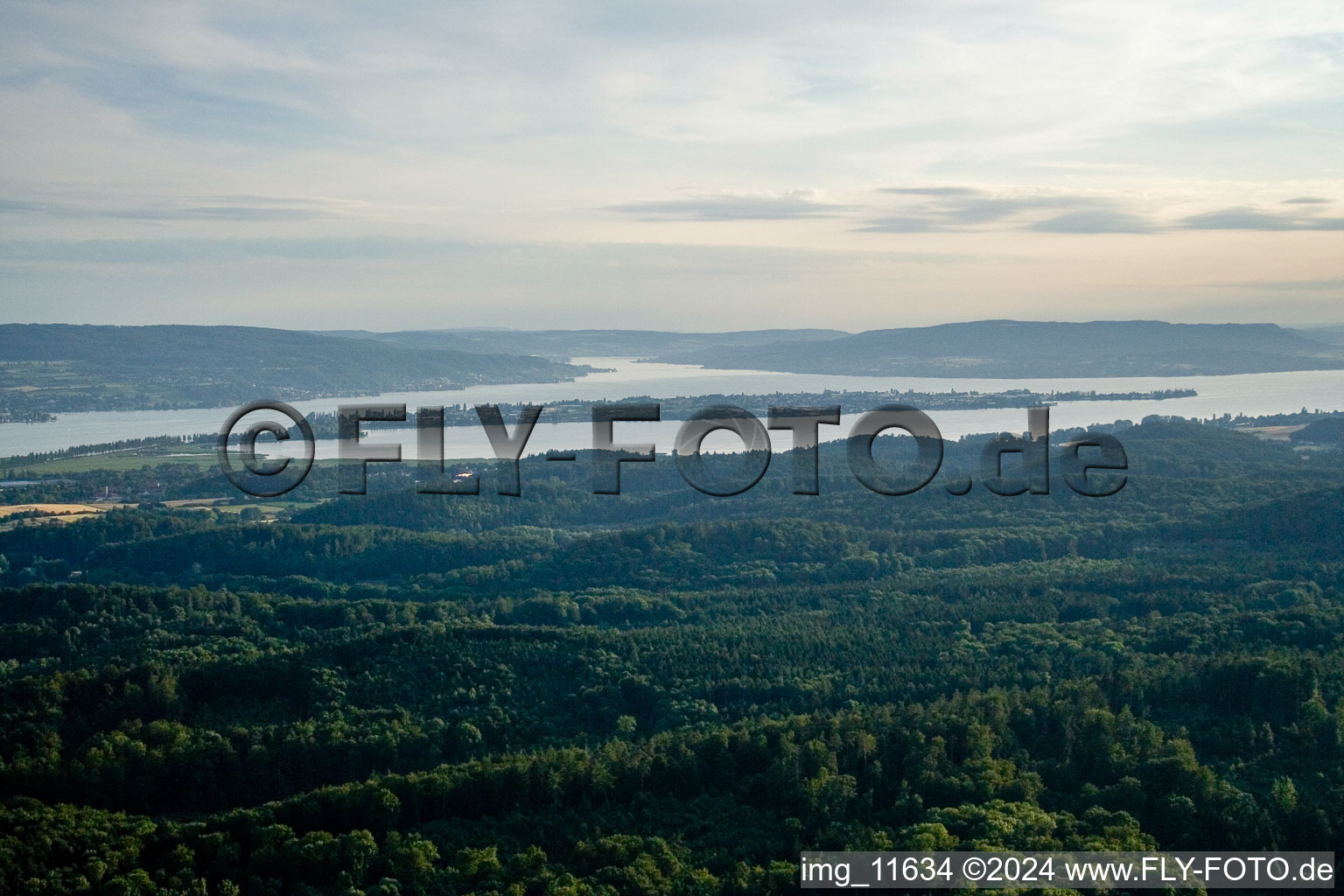 Vue aérienne de Lac de Constance, île Reichenau à Reichenau dans le département Bade-Wurtemberg, Allemagne