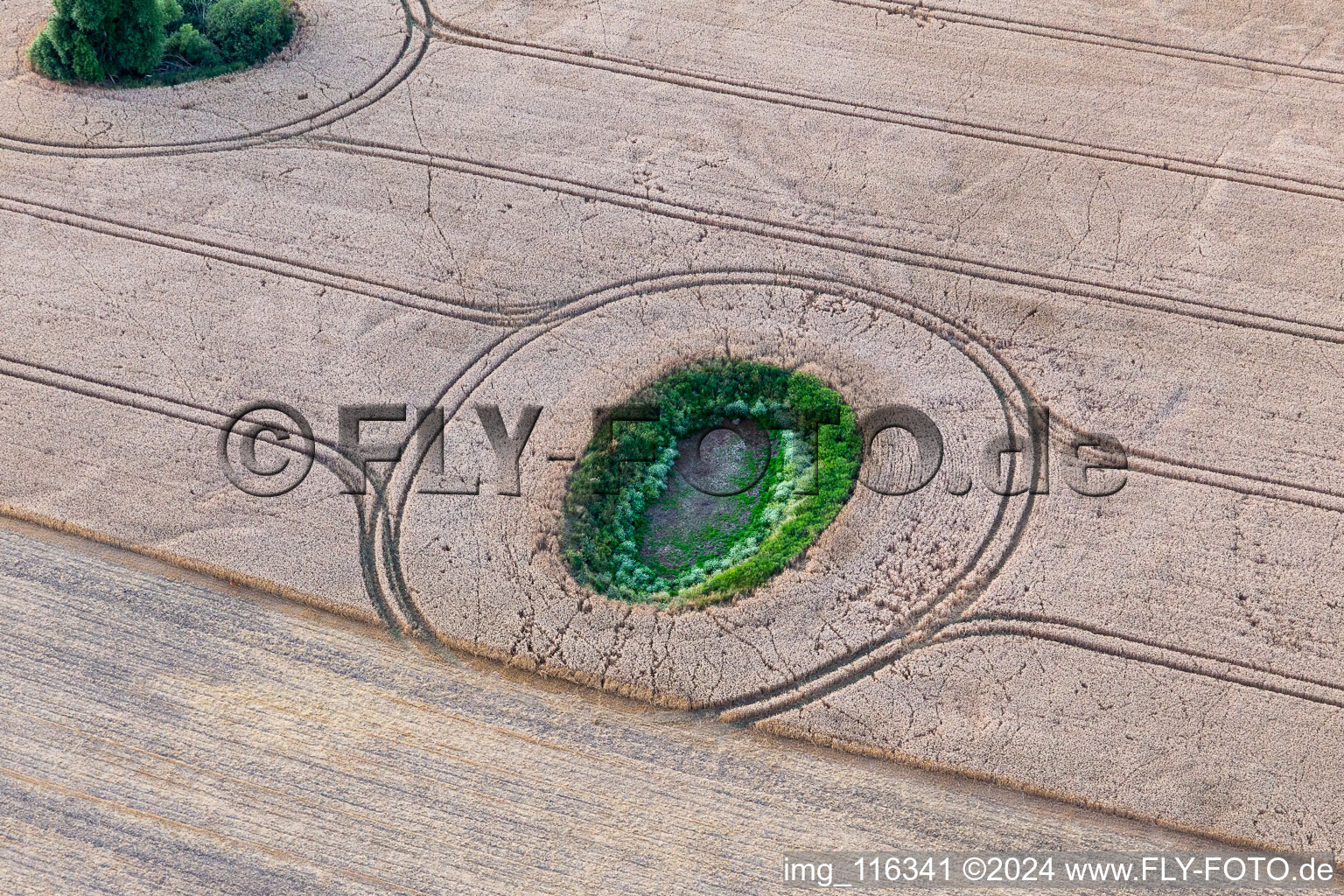 Photographie aérienne de Structure du champ de céréales rondes : Toteissee dans le champ de l'Uckermark à le quartier Groß Fredenwalde in Gerswalde dans le département Brandebourg, Allemagne