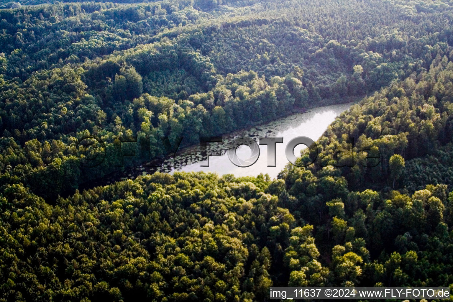 Quartier Litzelstetten in Konstanz dans le département Bade-Wurtemberg, Allemagne d'en haut