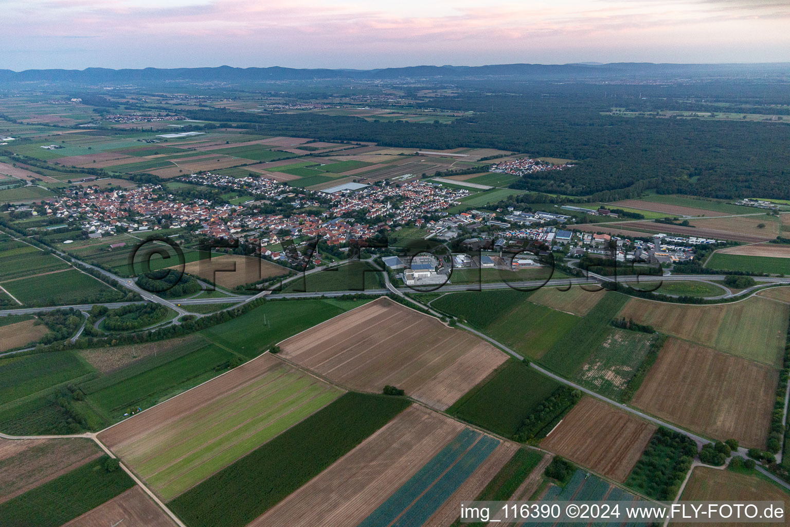 Schwegenheim dans le département Rhénanie-Palatinat, Allemagne vue du ciel