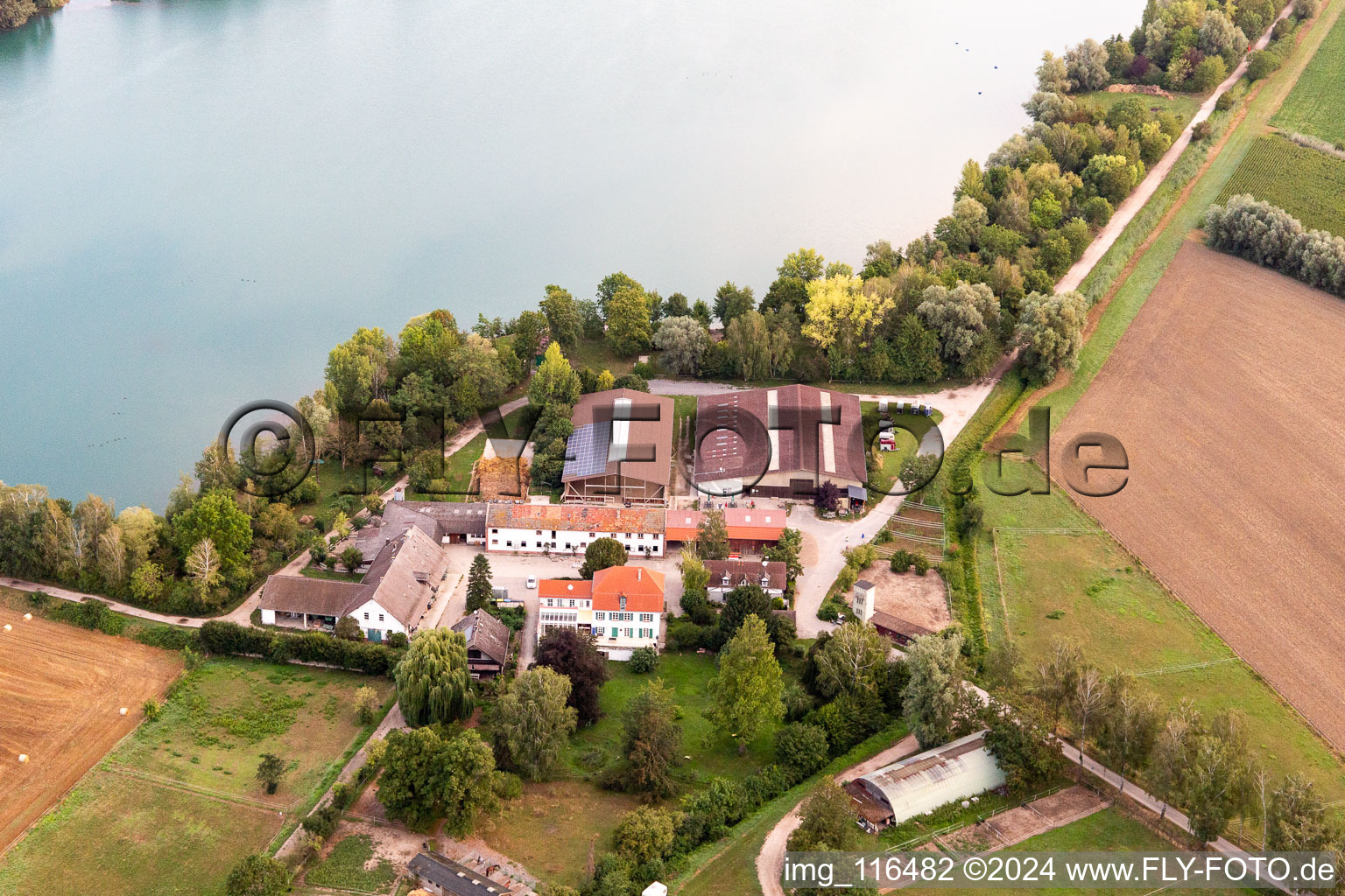 Vue aérienne de Ferme de poneys à Wammsee à Speyer dans le département Rhénanie-Palatinat, Allemagne