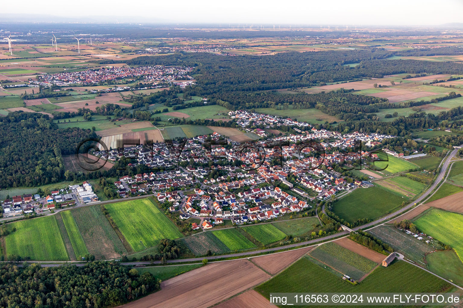 Hanhofen dans le département Rhénanie-Palatinat, Allemagne vue d'en haut