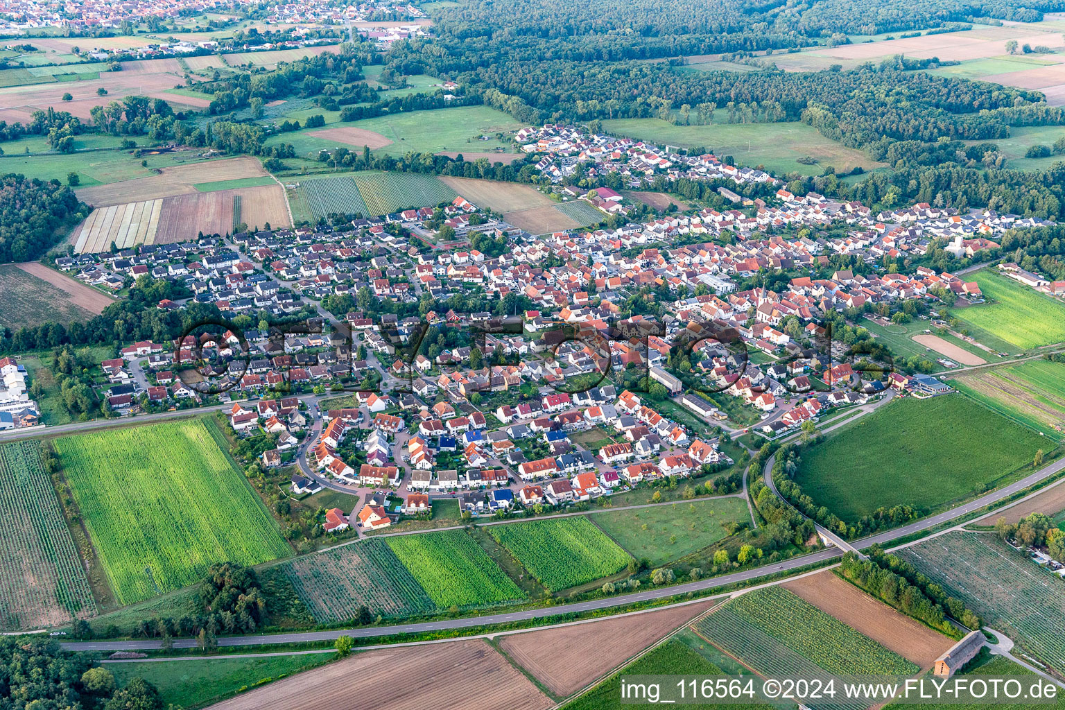 Hanhofen dans le département Rhénanie-Palatinat, Allemagne depuis l'avion