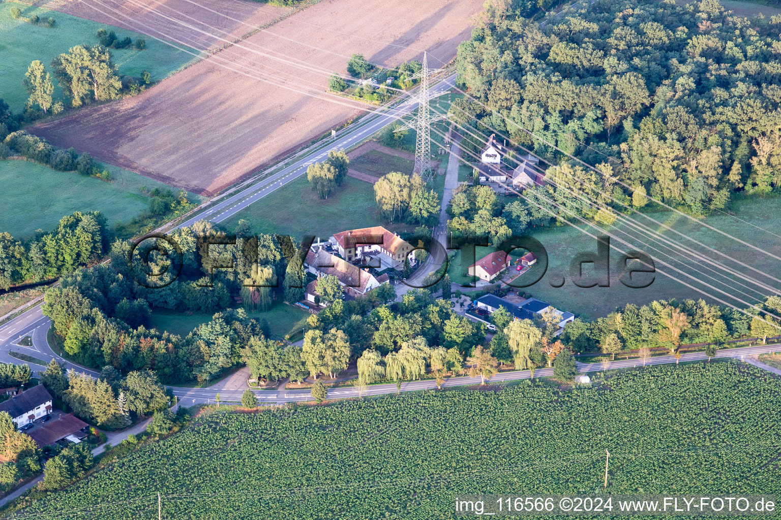 Vue aérienne de Aumühle à Haßloch dans le département Rhénanie-Palatinat, Allemagne