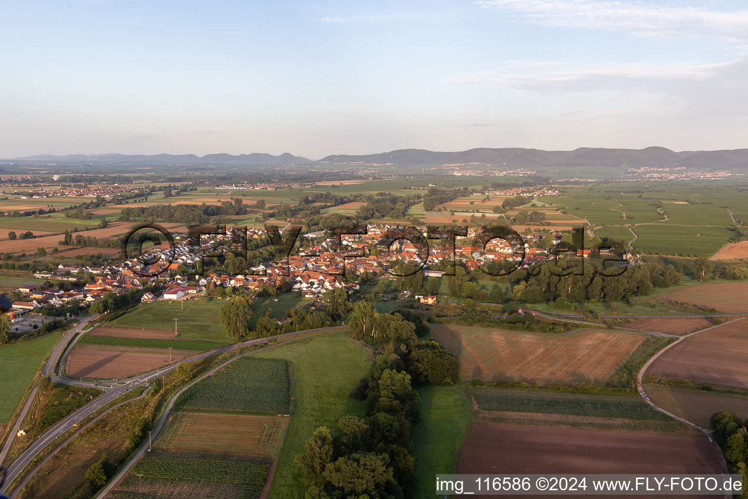 Vue oblique de Geinsheim dans le département Rhénanie-Palatinat, Allemagne