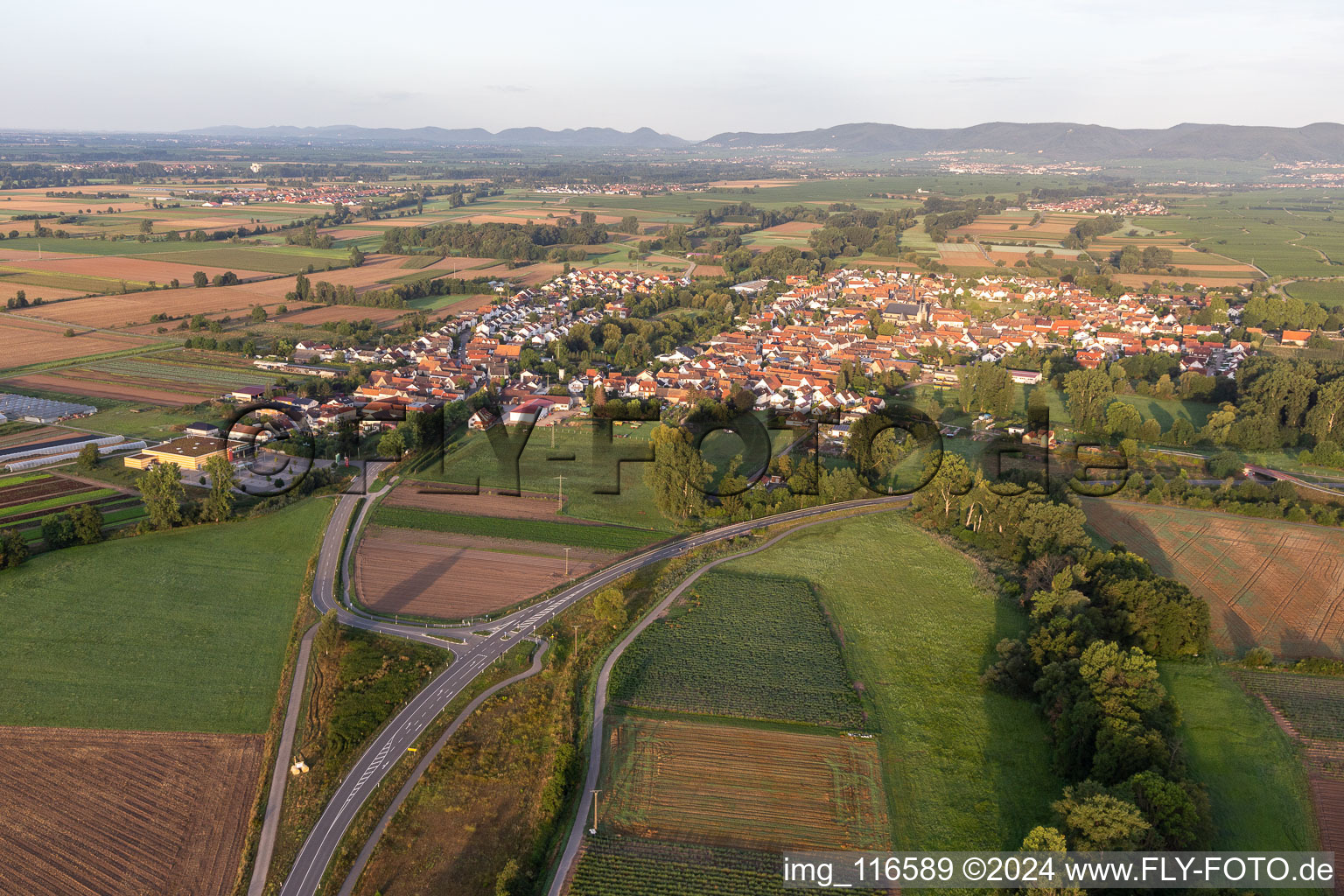 Quartier Geinsheim in Neustadt an der Weinstraße dans le département Rhénanie-Palatinat, Allemagne d'en haut