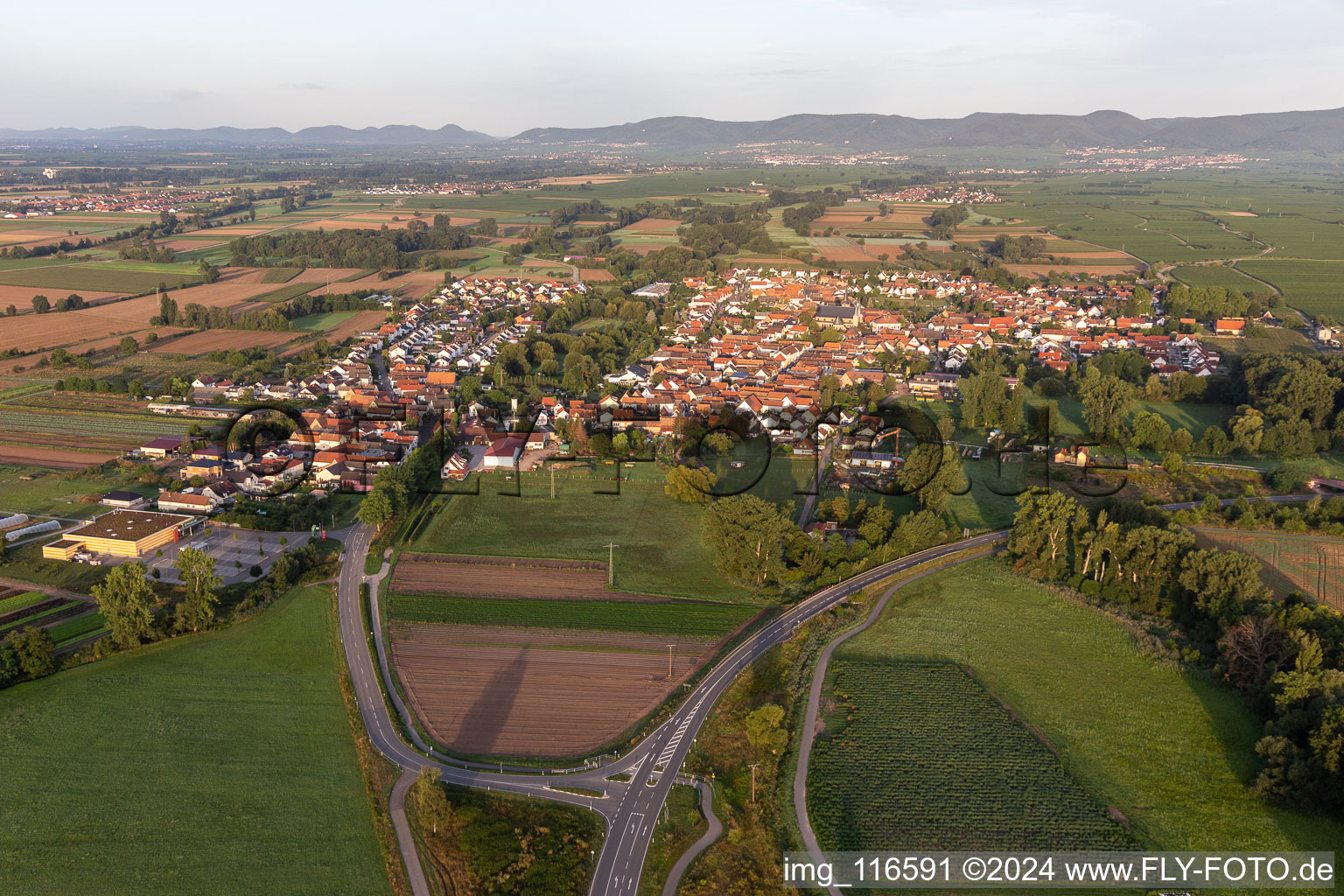 Quartier Geinsheim in Neustadt an der Weinstraße dans le département Rhénanie-Palatinat, Allemagne hors des airs